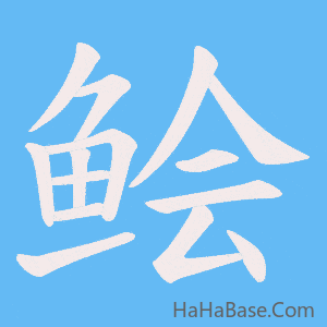 《鲙》的筆順動畫寫字動畫演示