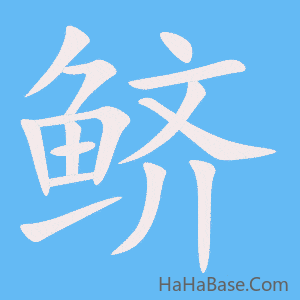 《鲚》的筆順動畫寫字動畫演示