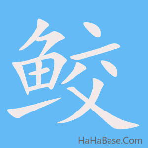 《鲛》的筆順動畫寫字動畫演示