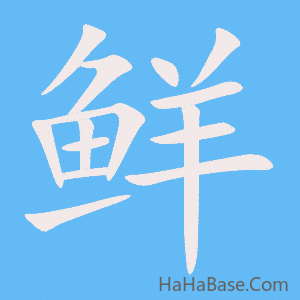 《鲜》的筆順動畫寫字動畫演示