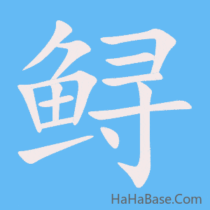 《鲟》的筆順動畫寫字動畫演示