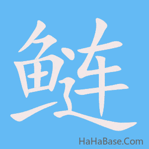 《鲢》的筆順動畫寫字動畫演示