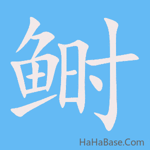 《鲥》的筆順動畫寫字動畫演示