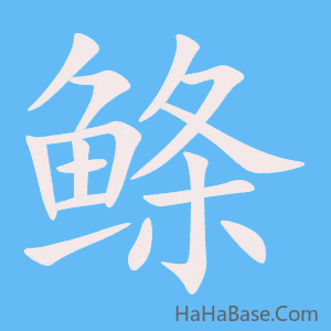 《鲦》的筆順動畫寫字動畫演示