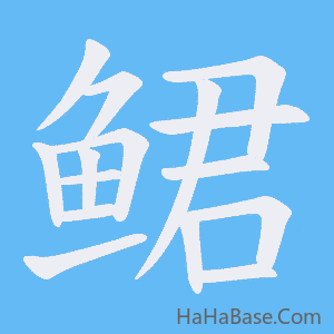 《鲪》的筆順動畫寫字動畫演示
