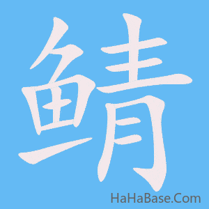 《鲭》的筆順動畫寫字動畫演示