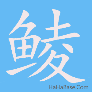《鲮》的筆順動畫寫字動畫演示