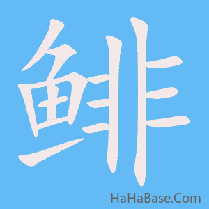 《鲱》的筆順動畫寫字動畫演示