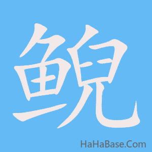 《鲵》的筆順動畫寫字動畫演示