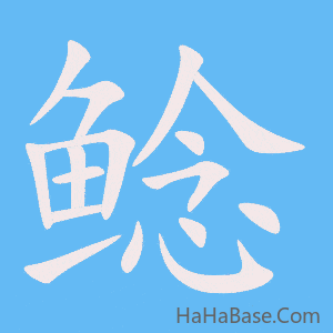 《鲶》的筆順動畫寫字動畫演示
