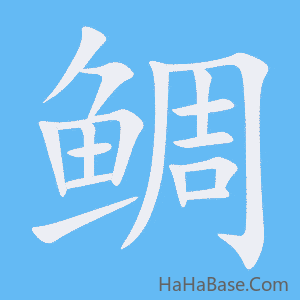 《鲷》的筆順動畫寫字動畫演示