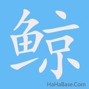 《鲸》的筆順動畫寫字動畫演示