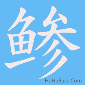 《鲹》的筆順動畫寫字動畫演示