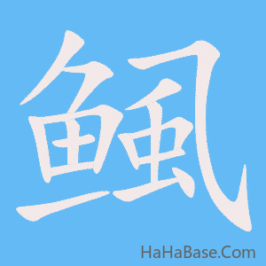 《鲺》的筆順動畫寫字動畫演示
