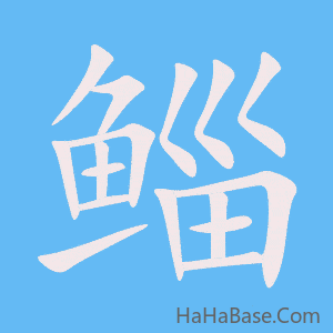 《鲻》的筆順動畫寫字動畫演示