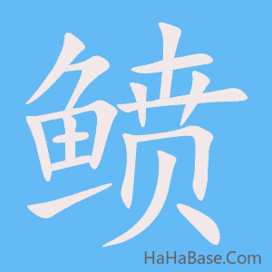 《鲼》的筆順動畫寫字動畫演示