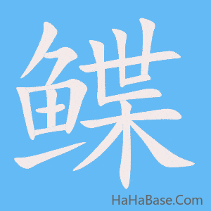 《鲽》的筆順動畫寫字動畫演示