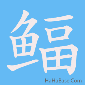 《鲾》的筆順動畫寫字動畫演示