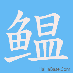 《鳁》的筆順動畫寫字動畫演示