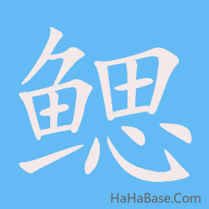 《鳃》的筆順動畫寫字動畫演示
