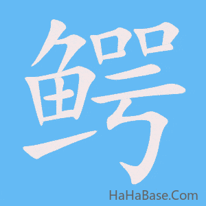 《鳄》的筆順動畫寫字動畫演示
