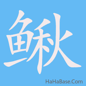 《鳅》的筆順動畫寫字動畫演示