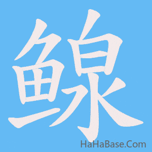《鳈》的筆順動畫寫字動畫演示