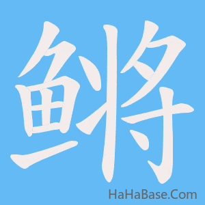 《鳉》的筆順動畫寫字動畫演示