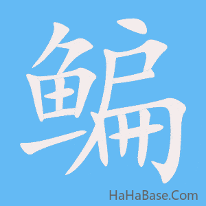 《鳊》的筆順動畫寫字動畫演示