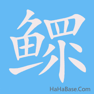 《鳏》的筆順動畫寫字動畫演示