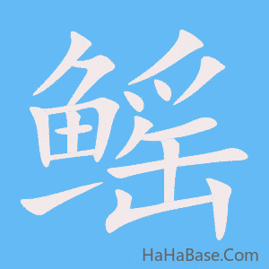 《鳐》的筆順動畫寫字動畫演示