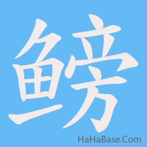 《鳑》的筆順動畫寫字動畫演示