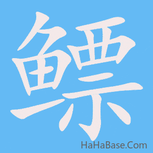 《鳔》的筆順動畫寫字動畫演示