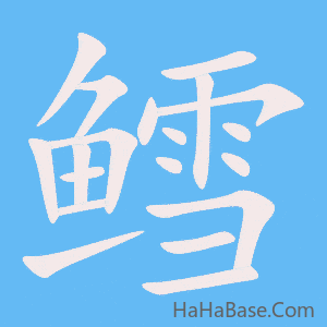 《鳕》的筆順動畫寫字動畫演示