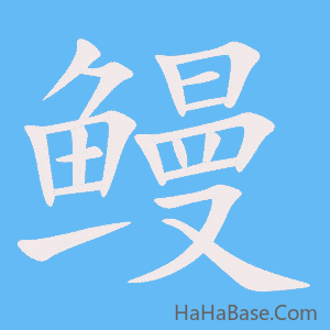 《鳗》的筆順動畫寫字動畫演示