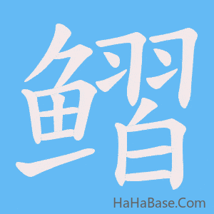 《鳛》的筆順動畫寫字動畫演示