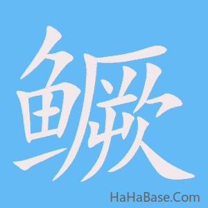 《鳜》的筆順動畫寫字動畫演示
