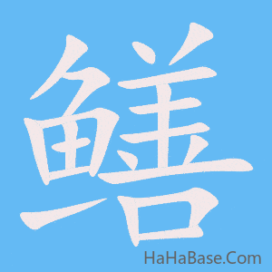 《鳝》的筆順動畫寫字動畫演示