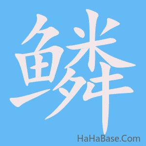 《鳞》的筆順動畫寫字動畫演示