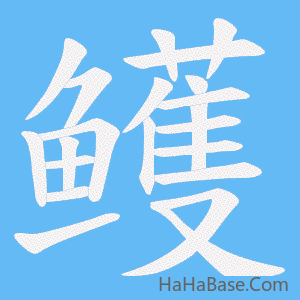 《鳠》的筆順動畫寫字動畫演示