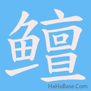 《鳣》的筆順動畫寫字動畫演示