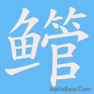 《鳤》的筆順動畫寫字動畫演示