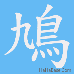 《鳩》的筆順動畫寫字動畫演示