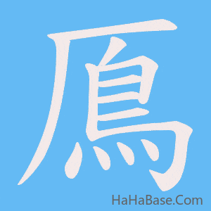 《鳫》的筆順動畫寫字動畫演示