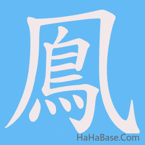 《鳯》的筆順動畫寫字動畫演示