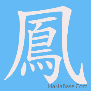 《鳳》的筆順動畫寫字動畫演示