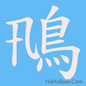 《鳵》的筆順動畫寫字動畫演示