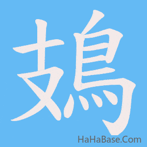 《鳷》的筆順動畫寫字動畫演示