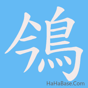 《鳹》的筆順動畫寫字動畫演示
