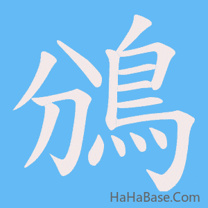 《鳻》的筆順動畫寫字動畫演示